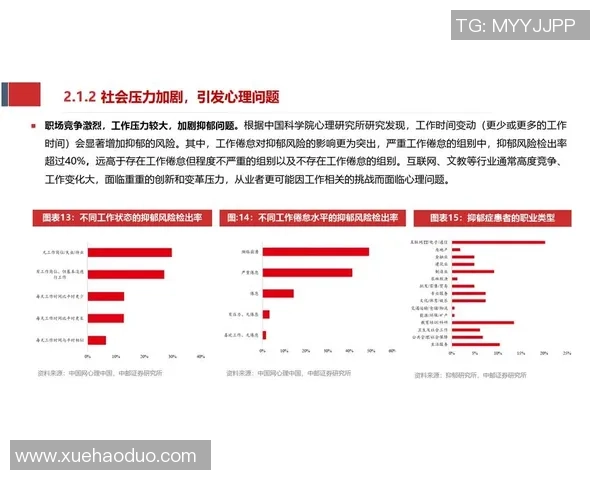 深圳排球队在联合会杯中的实力展现与未来发展潜力分析